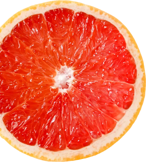 グレープフルーツ